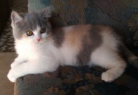 /album/betty-borgia/imag8529-jpg/