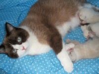 /album/kotatka-k-zadani/dscf1387-jpg/