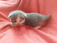 /album/kotatka-k-zadani1/img-20230406-171003-jpg/