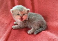 /album/kotatka-k-zadani1/img-20230406-170547-jpg/