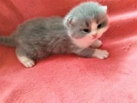 /album/kotatka-k-zadani1/img-20230406-170304-jpg/